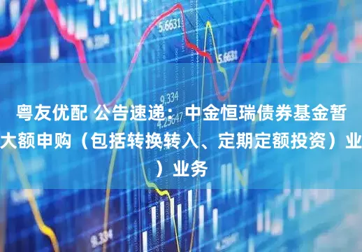 粤友优配 公告速递：中金恒瑞债券基金暂停大额申购（包括转换转入、定期定额投资）业务